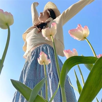 灰鸽子之歌